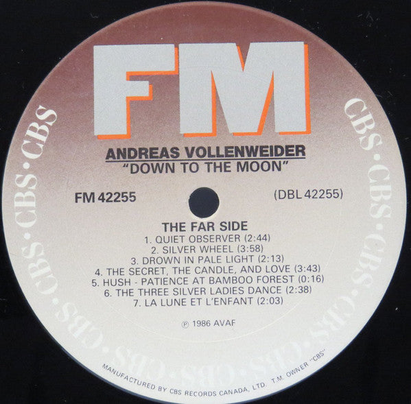 Andreas Vollenweider : Down To The Moon (LP, Album)