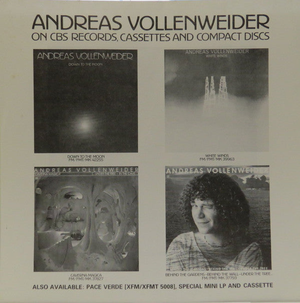 Andreas Vollenweider : Down To The Moon (LP, Album)