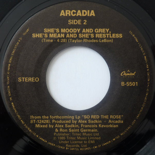 Arcadia (3) : Election Day (7", Single)