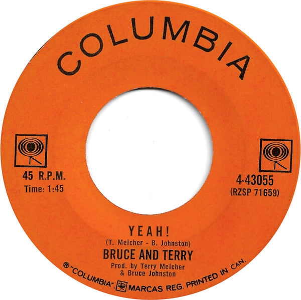 Bruce And Terry* : Summer Means Fun (7")