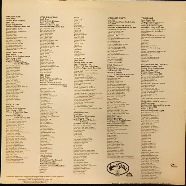 Sha Na Na : Rock & Roll Is Here To Stay (LP, Album, RE)