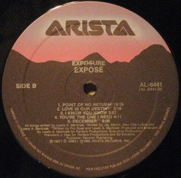 Exposé : Exposure (LP, Album)