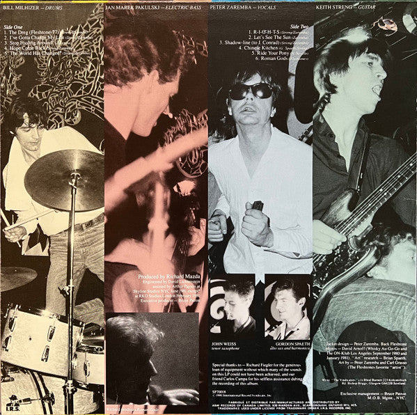 Fleshtones* : Roman Gods (LP, Album)