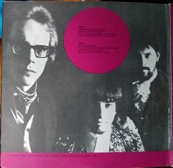 The Pigeons (2) : While The World Was Eating Vanilla Fudge (LP, Album)