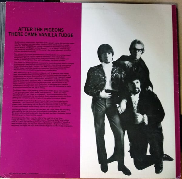 The Pigeons (2) : While The World Was Eating Vanilla Fudge (LP, Album)