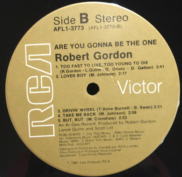 Robert Gordon (2) : Are You Gonna Be The One (LP, Album)