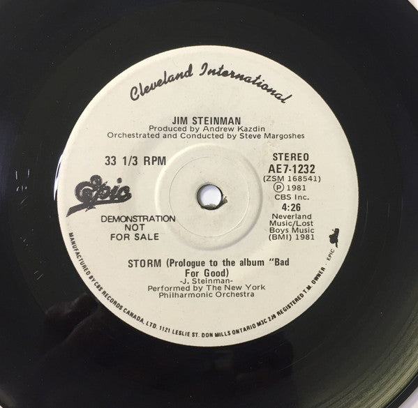 Jim Steinman : Storm / Rock And Roll Dreams Come Through (7", Promo)