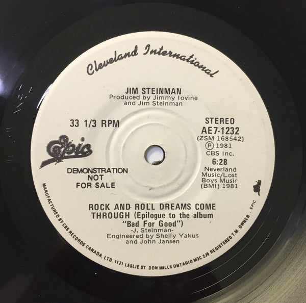 Jim Steinman : Storm / Rock And Roll Dreams Come Through (7", Promo)