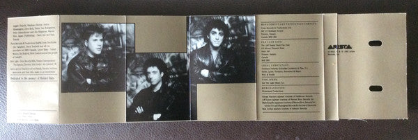 The Jeff Healey Band : Hell To Pay (Cass, Album)