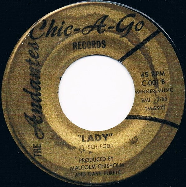 The Andantes (2) : Today's Fool / Lady (7")