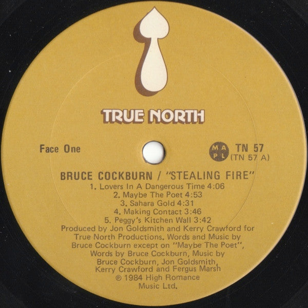 Bruce Cockburn : Stealing Fire (LP, Album)