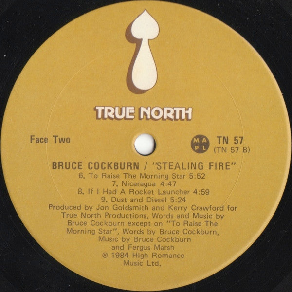 Bruce Cockburn : Stealing Fire (LP, Album)