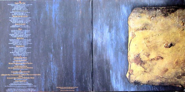 David Sylvian : Gone To Earth (2xLP, Album)