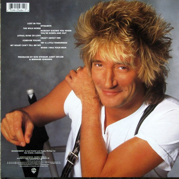 Rod Stewart : Out Of Order (LP, Album)