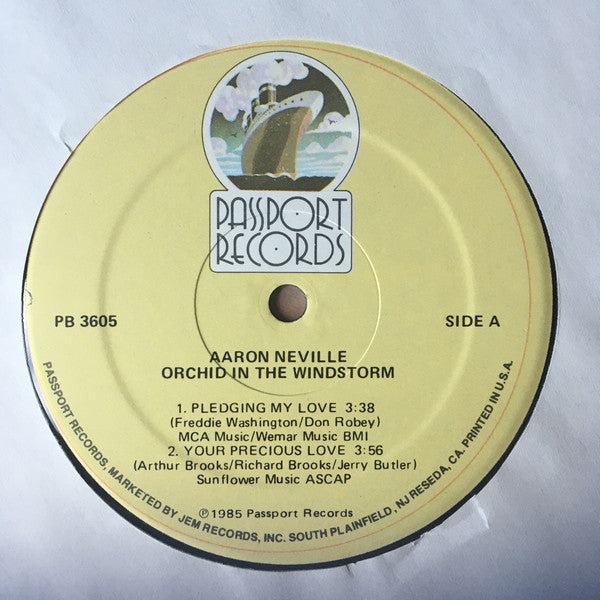 Aaron Neville : Orchid In The Storm (LP, MiniAlbum)
