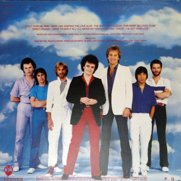 Air Supply : The One That You Love (LP, Album)