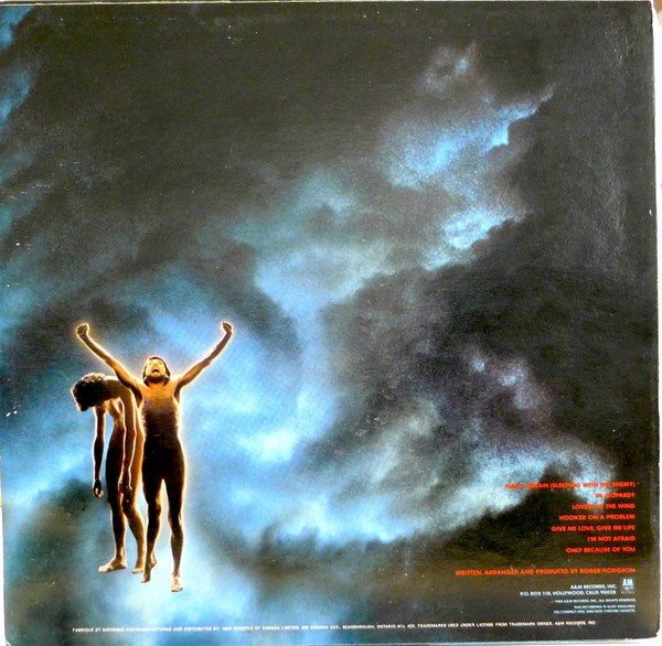 Roger Hodgson : In The Eye Of The Storm (LP, Album)