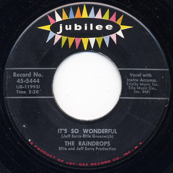 The Raindrops : What A Guy / It's So Wonderful (7", Single)