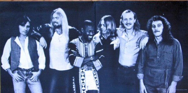 The Allman Brothers Band : Enlightened Rogues (LP, Album, Gat)