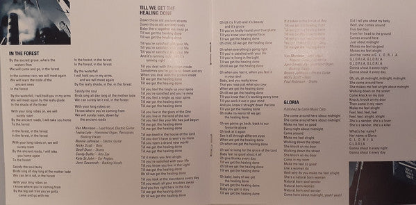 Van Morrison : Too Long In Exile (CD, Album)