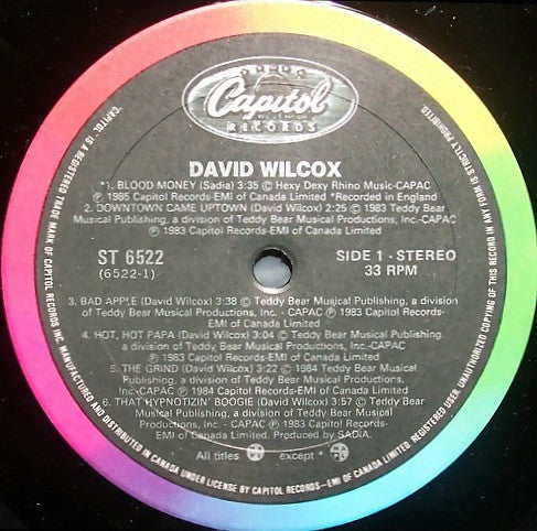 David Wilcox (2) : The Best Of David Wilcox (LP, Comp)