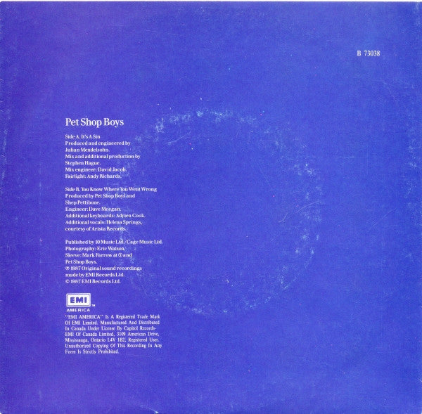 Pet Shop Boys : It's A Sin (7", Single)