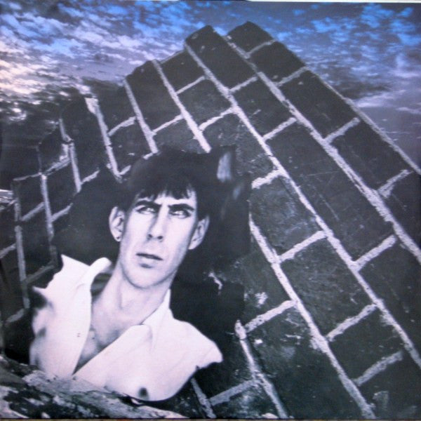 Ric Ocasek : Beatitude (LP, Album)