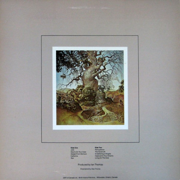 Ian Thomas (2) : Delights (LP, Album)