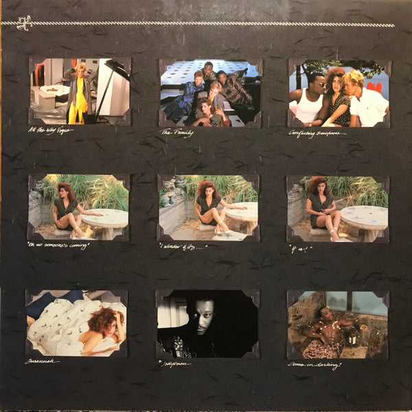 The Family (2) : The Family (LP, Album)