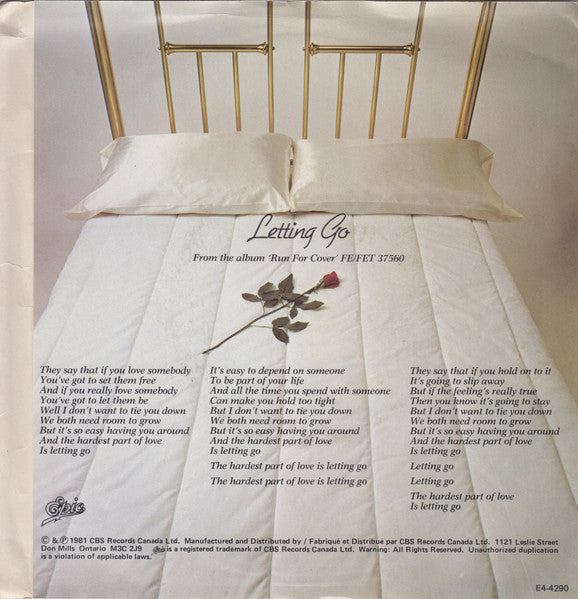 Straight Lines : Letting Go (7", Single)