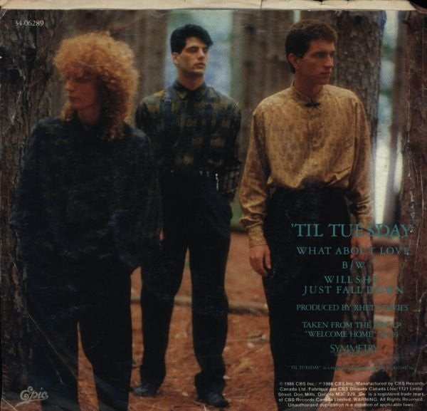 'Til Tuesday : What About Love (7", Single)