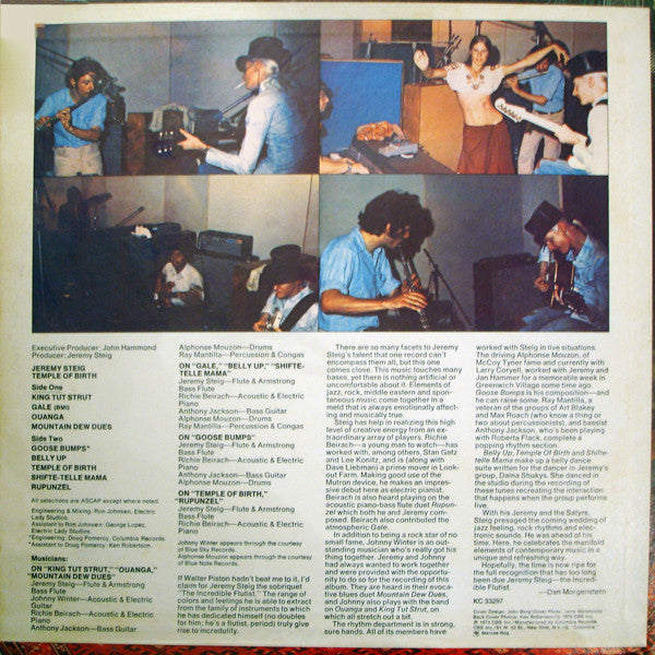 Jeremy Steig : Temple Of Birth (LP, Album, Promo)