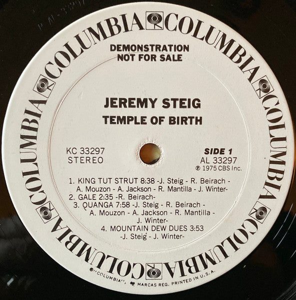 Jeremy Steig : Temple Of Birth (LP, Album, Promo)