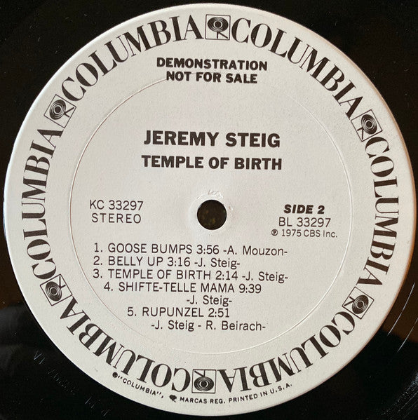 Jeremy Steig : Temple Of Birth (LP, Album, Promo)