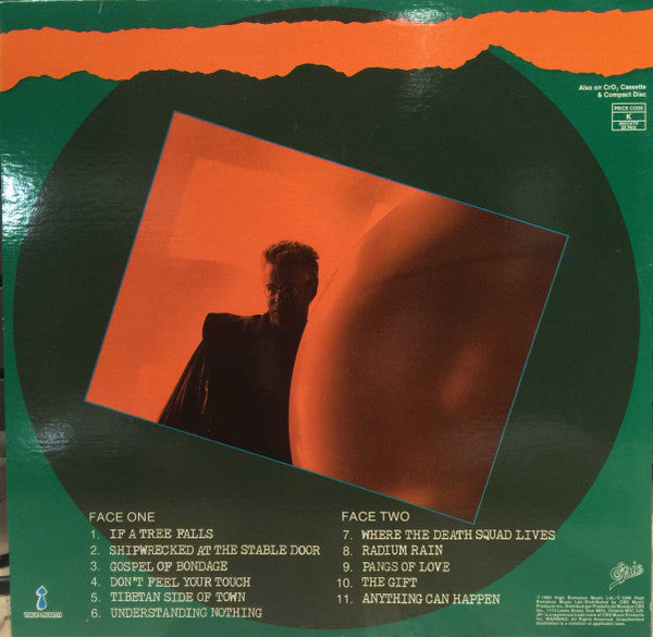 Bruce Cockburn : Big Circumstance (LP, Album)