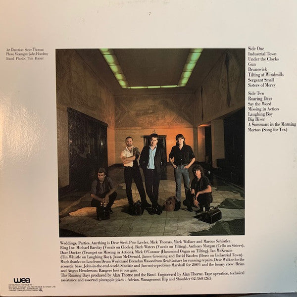 Weddings, Parties, Anything : Roaring Days (LP, Album)