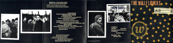 The Wallflowers : Bringing Down The Horse (CD, Album)