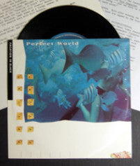 Perfect World (2) : Vacation In Black (7")