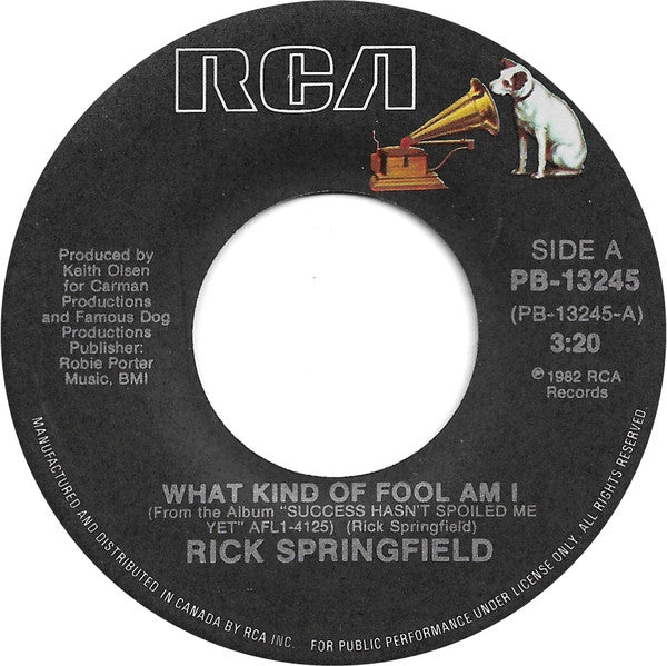 Rick Springfield : What Kind Of Fool Am I (7")