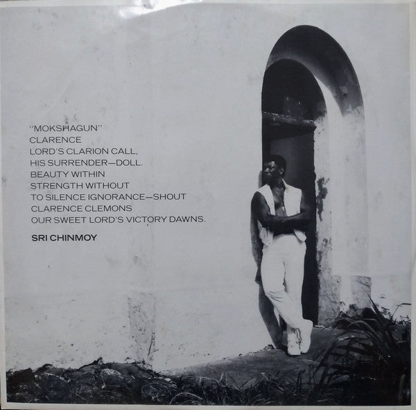 Clarence Clemons : Hero (LP, Album)