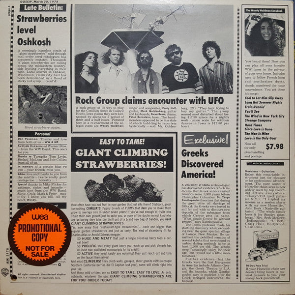 Wendy Waldman : Strange Company (LP, Album)