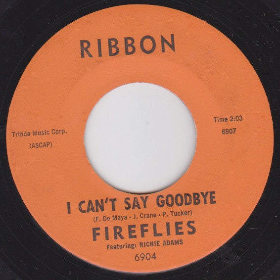 The Fireflies : I Can't Say Goodbye / What Did I Do Wrong (7", Single)