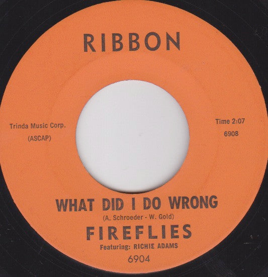 The Fireflies : I Can't Say Goodbye / What Did I Do Wrong (7", Single)
