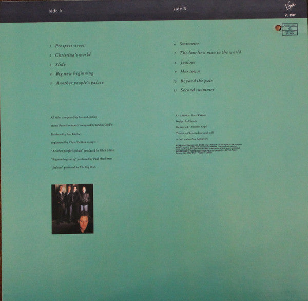 The Big Dish : Swimmer (LP, Album)