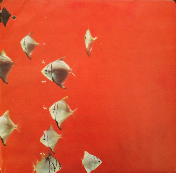 The Big Dish : Swimmer (LP, Album)