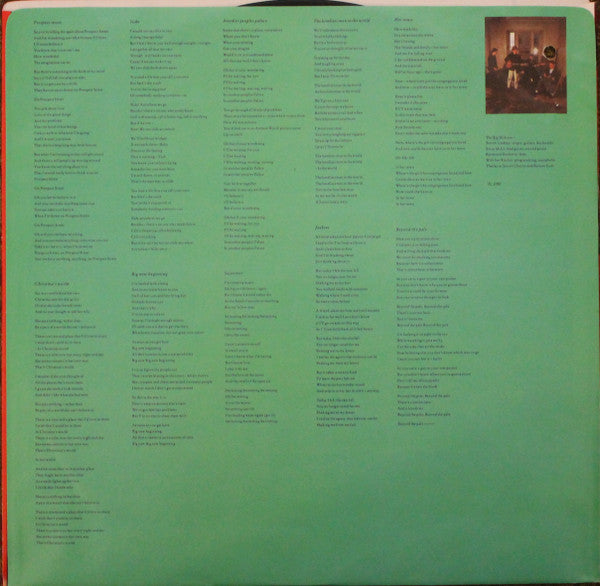 The Big Dish : Swimmer (LP, Album)