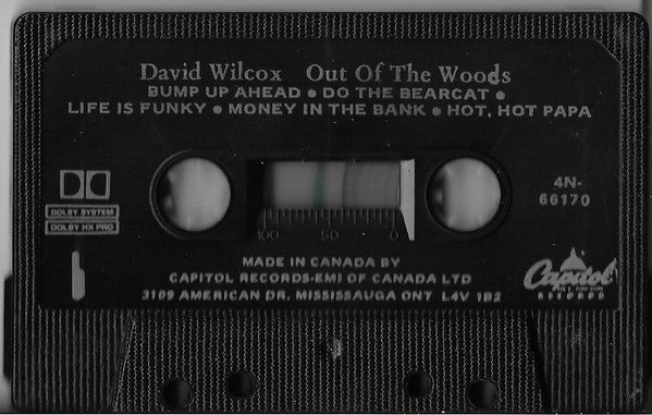 David Wilcox (2) : Out Of The Woods (Cass, Album, RE)