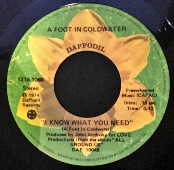 A Foot In Coldwater : I Know What You Need (7")
