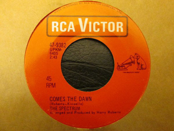 The Spectrum : Portobello Road (7", Single)