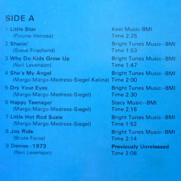 Randy & The Rainbows : Joy Ride (LP, Comp)